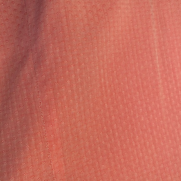 Express Pink Button-Down - Picture 4 of 4